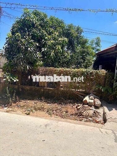 Bán Đất Bình Thuận GIÁP CHỦ chỉ 790Triệu ,Đường ôtô rộng 10m ,Sổ Sẵn