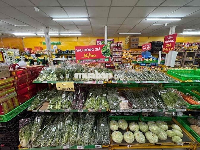 TUYỂN DỤNG NHÂN VIÊN BÁN SIÊU THỊ BÁCH HÓA XANH