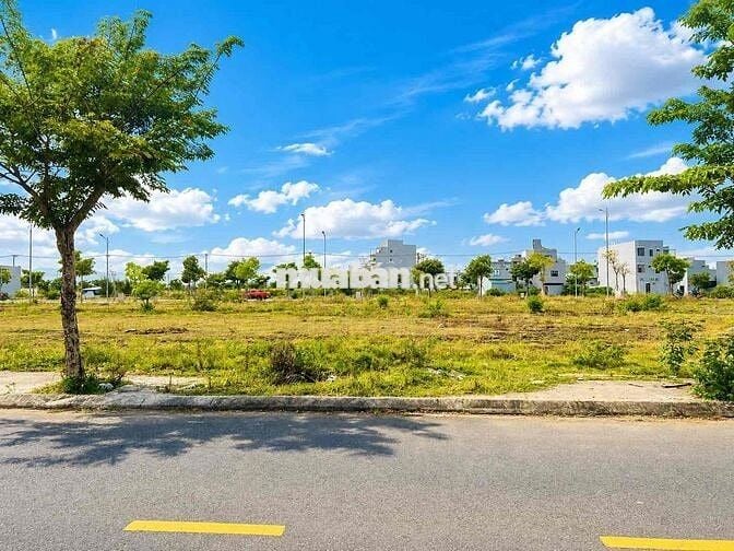 Cần tiền bán giá sụp hầm lô đầm sen khu Nam Hoà Xuân