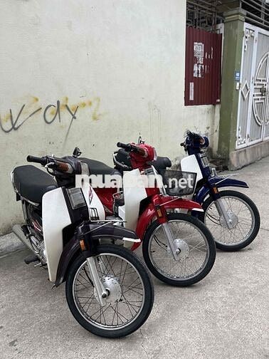 Honda Dream Đa màu