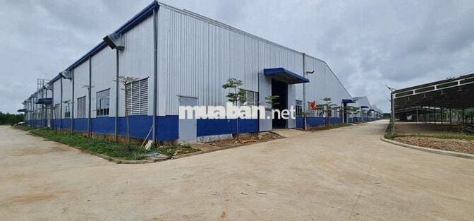 CHO THUÊ KHO XƯỞNG ĐẠT CHUẨN 2000M2 MẶT TIỀN QL1A ĐÀ NẴNG