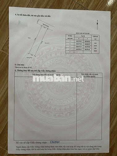 CHÍNH CHỦ BÁN ĐẤT THỔ CƯ 101m2 TẠI TRÀNG CÁT, HẢI AN. 