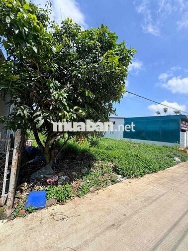 Đất nền , thổ cư sẵn sổ Hiệp thạnh - Đức trọng