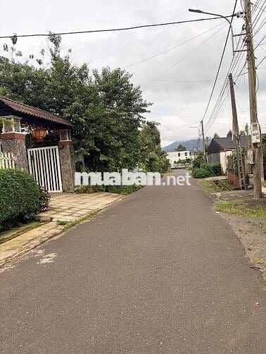BÁN ĐẤT ĐẸP HẺM 95 PHAN CHU TRINH – PHƯỜNG 3, BẢO LỘC