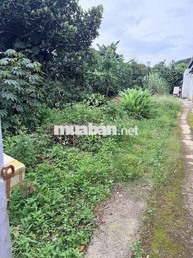 BÁN ĐẤT ĐẸP HẺM 95 PHAN CHU TRINH – PHƯỜNG 3, BẢO LỘC
