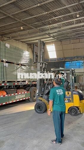 Tuyển tài xế xe nâng ván mdf tại cổng 11 Biên Hòa