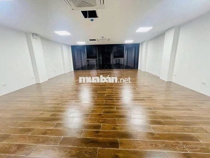 🔈 Tòa Nhà MT Quách Văn Tuấn_Q.TB_8x20m_Hầm Trệt Lửng 4 Lầu, TM, PCCC.