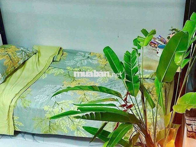 Cho Thuê ở Ghép Phòng 3 Sao - WC trong phòng Máy lạnh