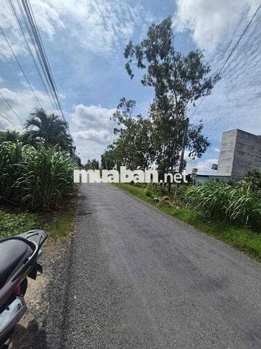 🔥🔥 Bán Đất Mặt Tiền 536mv 150 thổ cư 1ty250tr gò công tây tiền giang