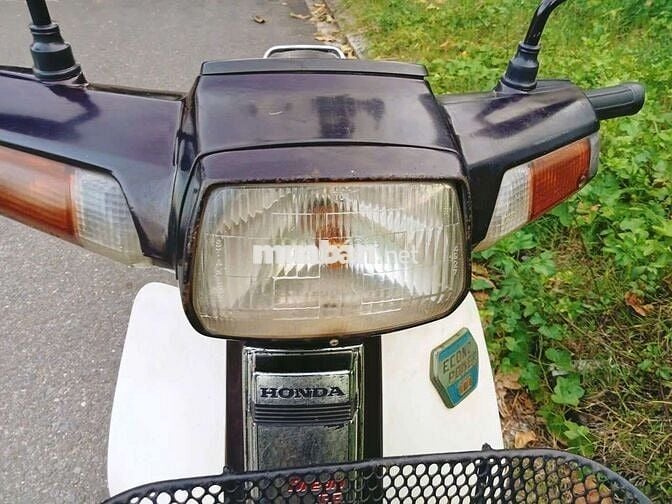 Honda Dream Thái Trắng Tím Thái Lan