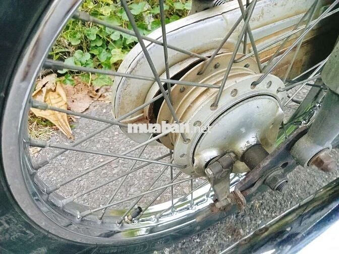 Honda Dream Thái Trắng Tím Thái Lan