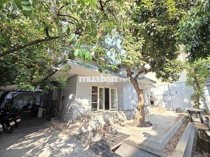 Ngang 12m - Biệt Thự Sân Vườn Đường Phan Kế Bính Quận 1