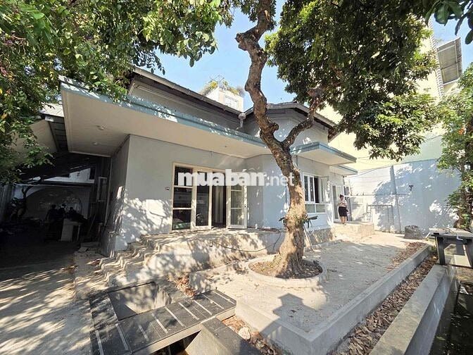 Ngang 12m - Biệt Thự Sân Vườn Đường Phan Kế Bính Quận 1