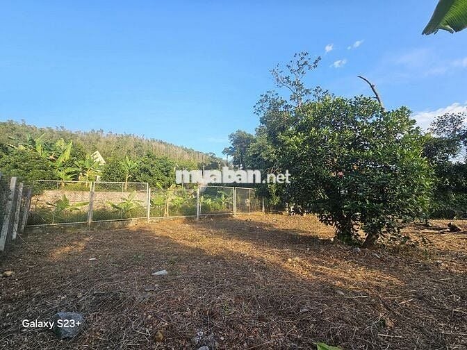 Bán Đất 900m2 có sẵn 300m2 thổ cư giá 2.5 tỷ tại Xã Việt Khê Hải Phòng