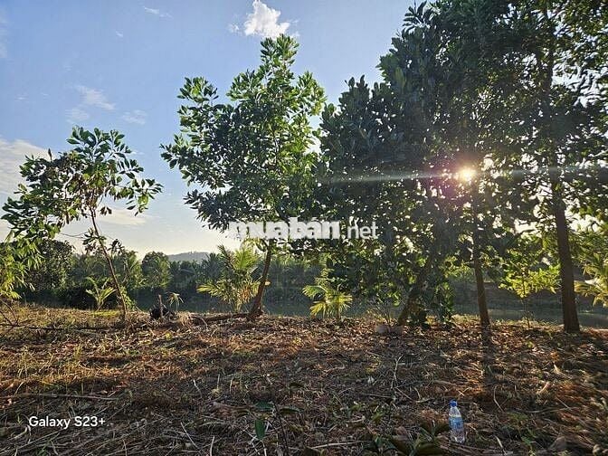 Bán Đất 900m2 có sẵn 300m2 thổ cư giá 2.5 tỷ tại Xã Việt Khê Hải Phòng