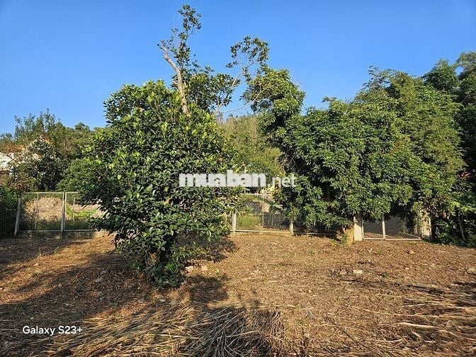 Bán Đất 900m2 có sẵn 300m2 thổ cư giá 2.5 tỷ tại Xã Việt Khê Hải Phòng