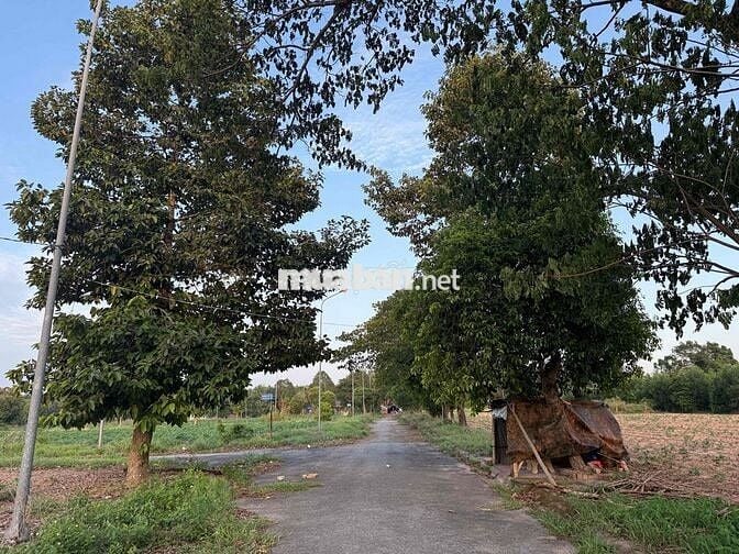 BÁN NỀN ĐẤT 104,5 M , SHR FULL THỔ CƯ GIÁ 1T350PHUOC AN ĐỒNG NAI