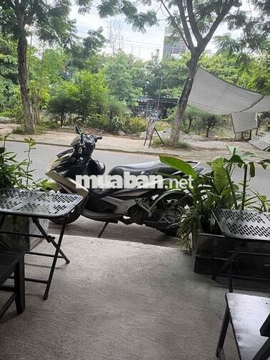 Yamaha Nouvou SX FI 2015 Vàng đồng, Tím