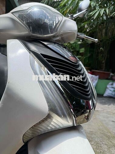 SHVN 150cc cà vẹt chính chủ
