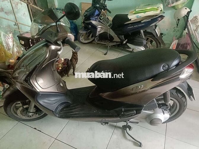 Piaggio Fly 2012 màu Nâu Trong nước