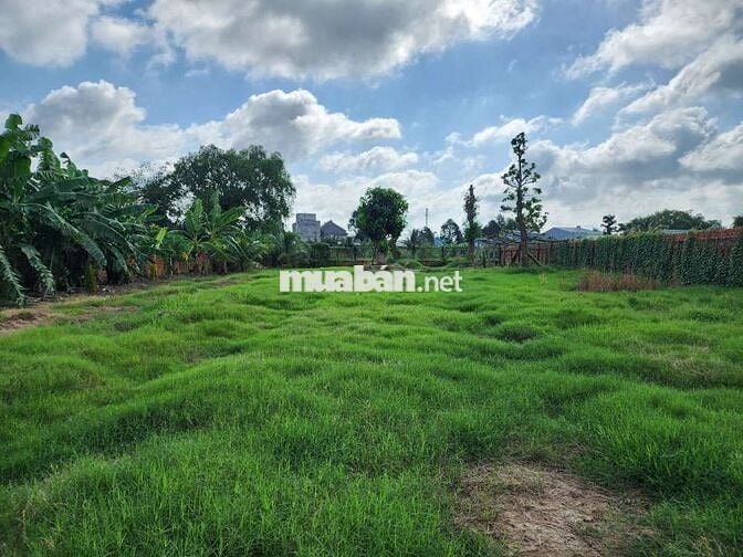 ĐẤT MẶT TIỀN ĐƯỜNG VÕ VĂN KIỆT PHƯỜNG LONG CHÂU TỈNH VĨNH LONG