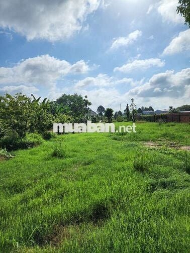ĐẤT MẶT TIỀN ĐƯỜNG VÕ VĂN KIỆT PHƯỜNG LONG CHÂU TỈNH VĨNH LONG