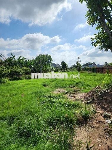 ĐẤT MẶT TIỀN ĐƯỜNG VÕ VĂN KIỆT PHƯỜNG LONG CHÂU TỈNH VĨNH LONG