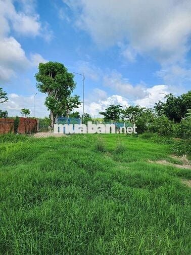 ĐẤT MẶT TIỀN ĐƯỜNG VÕ VĂN KIỆT PHƯỜNG LONG CHÂU TỈNH VĨNH LONG