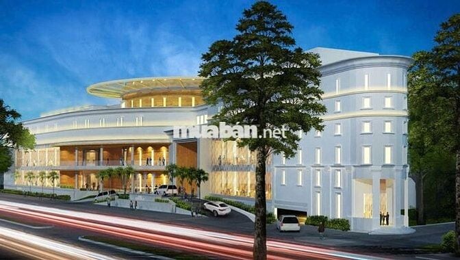 Tuyển Tạp vụ ca 8 tiếng - Không cần kinh nghiệm