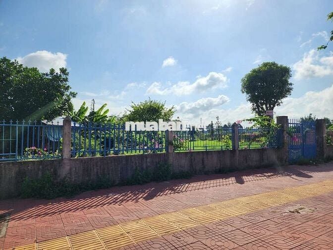 ĐẤT MẶT TIỀN ĐƯỜNG VÕ VĂN KIỆT PHƯỜNG LONG CHÂU TỈNH VĨNH LONG