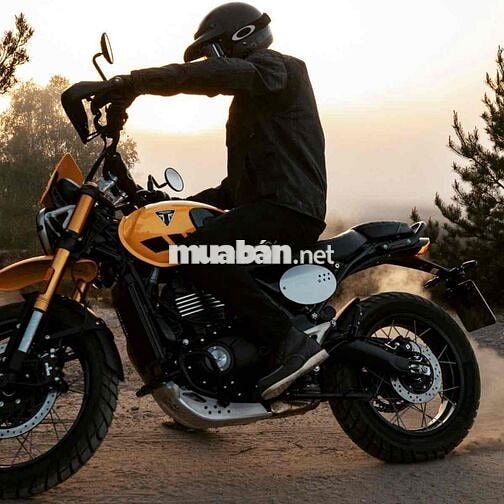 Triumph Scrambler 400 XC 2026 Vàng 398cc