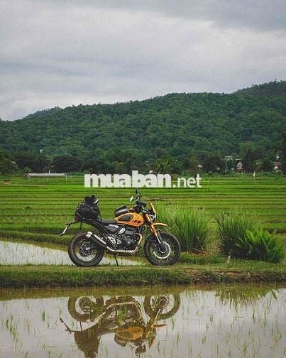 Triumph Scrambler 400 XC 2026 Vàng 398cc