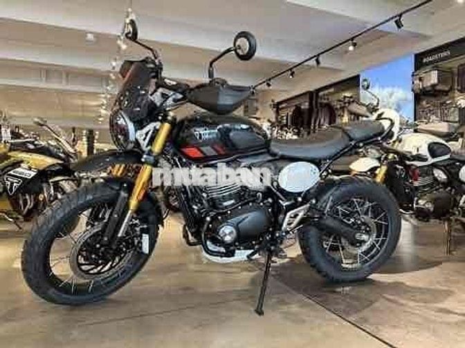 Triumph Scrambler 400 XC 2026 Vàng 398cc