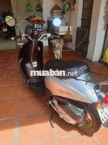 Honda Today 500c 2019 Bạc