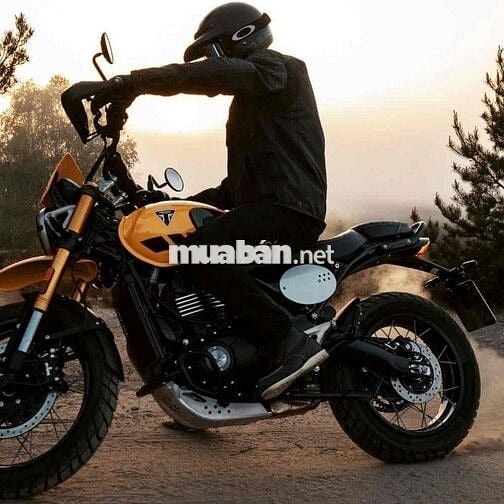 Triumph Scrambler 400 XC 2026 Vàng 398cc