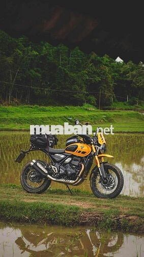Triumph Scrambler 400 XC 2026 Vàng 398cc