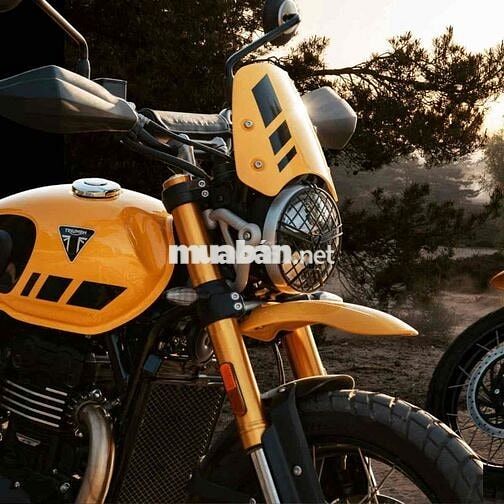 Triumph Scrambler 400 XC 2026 Vàng 398cc