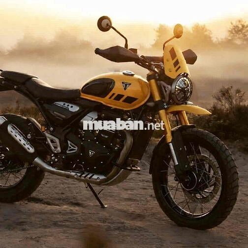 Triumph Scrambler 400 XC 2026 Vàng 398cc