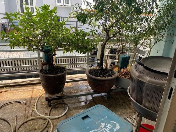 Chính chủ cho thuê nhà nguyên căn 7x10m 1 trệt 1 lầu Phạm Văn Đồng