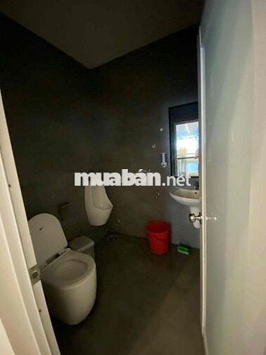 🔥 Cho thuê nhà mặt tiền đường Nguyễn Tri Phương, Quận 10 – tuyến đường
