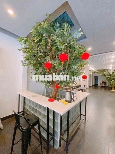 🔥 Cho thuê nhà mặt tiền đường Nguyễn Tri Phương, Quận 10 – tuyến đường