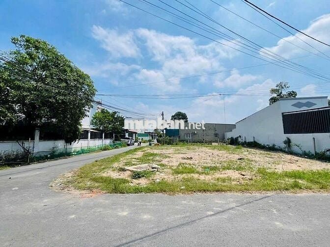 Gia đình kẹt tiền bán gấp 343m2 thổ cư góc 2 mặt tiền nhựa 580 triệu