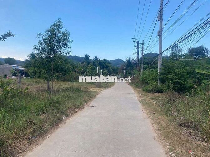 đất thổ cư P.Bắc Nha Trang rẻ nhất khu vực