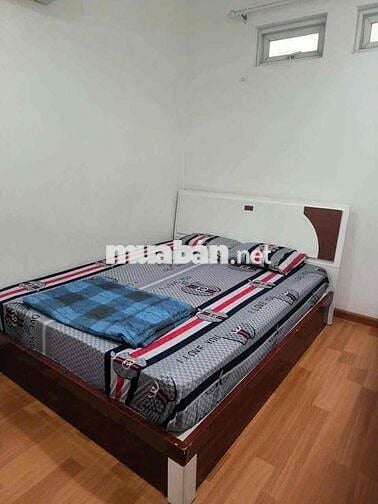 Cho thuê căn hộ full nội thất cao cấp, chung cư Plaza Pegasus, trung t