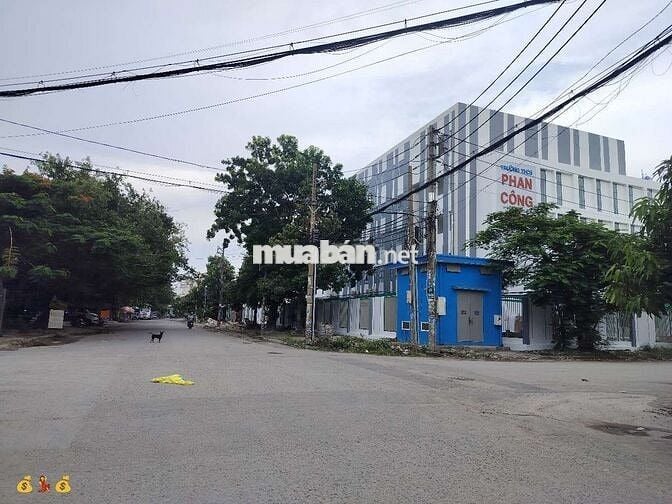 Bán Gấp Lô Đất Gần Chợ Bà Điểm Giá Rẻ