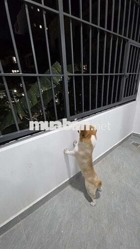 Phòng trọ đầy đủ tiện nghi khu vực quận 10