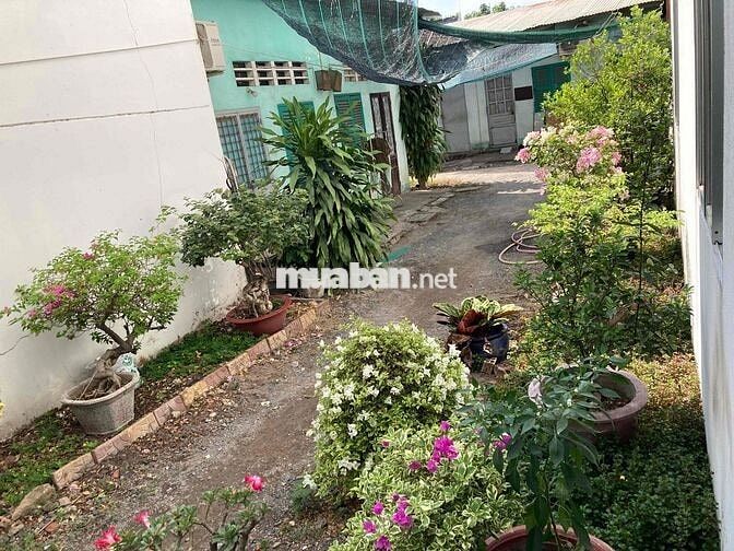 Phòng trọ 151 Trương Định, p Tân Mai, Biên Hoà
