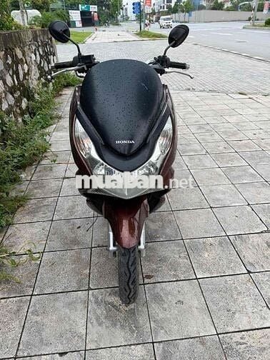 Honda PCX 2013 màu nâu đẹp ạ
