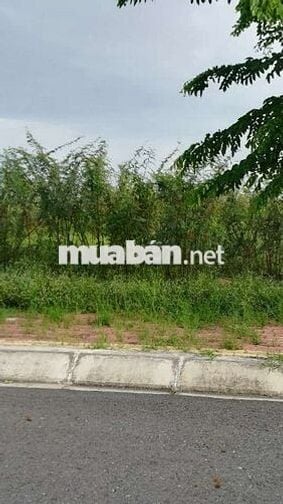 Đất Mặt Tiền Đường Số 1 Dự Án Thái Sơn T&T