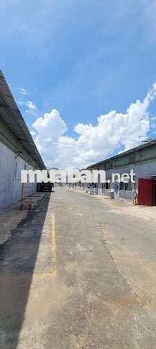 MB KHO XƯỞNG CONTAINER ĐÊM. PCCC TỰ ĐỘNG. SD1600M2 . 